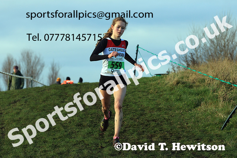 Womens under-17s and under-20s 2024 NECAA Cross Country Champs., Temple Park, South Shields. Photo: David T. Hewitson/Sports for All Pics